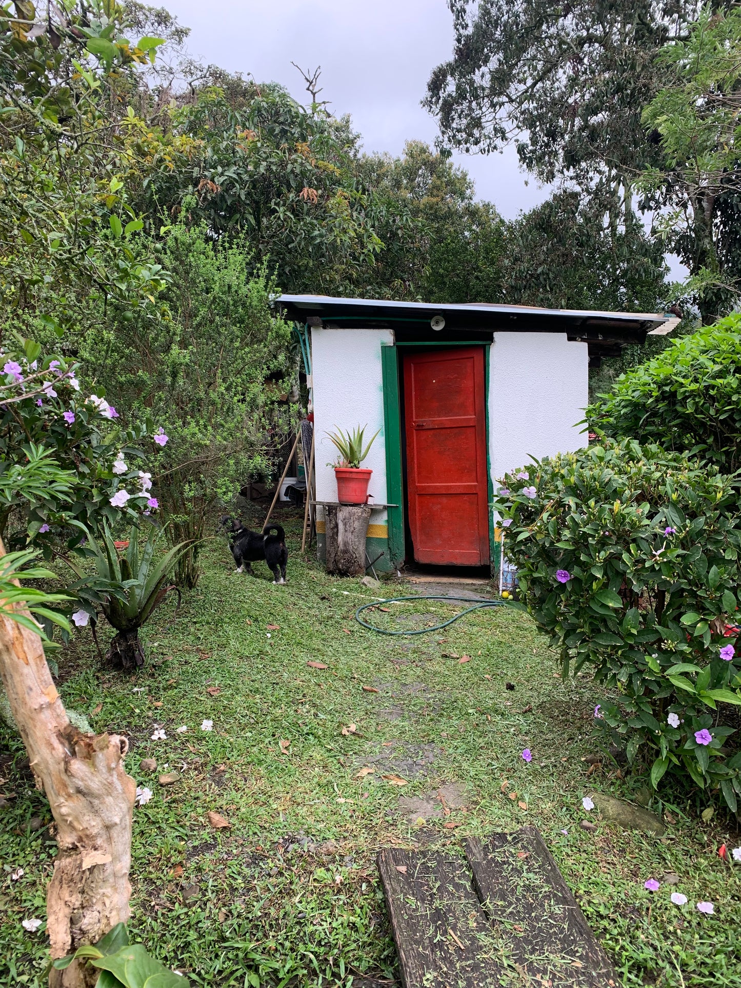 BAKr Coffee - San Francisco, Cundinamarca - Colombia - Cenicafe1