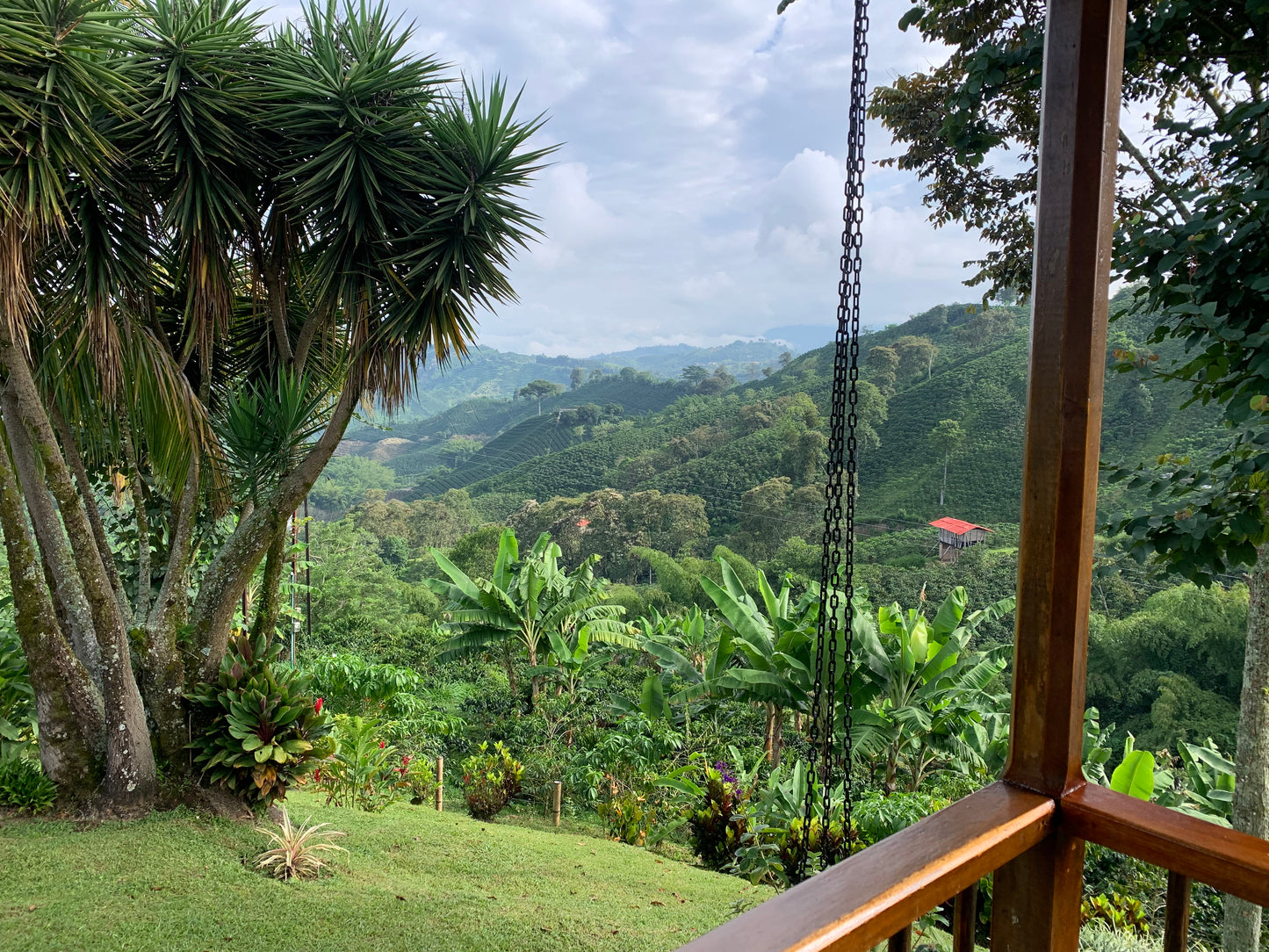 BAKr Coffee - Palestina, Caldas - Colombia