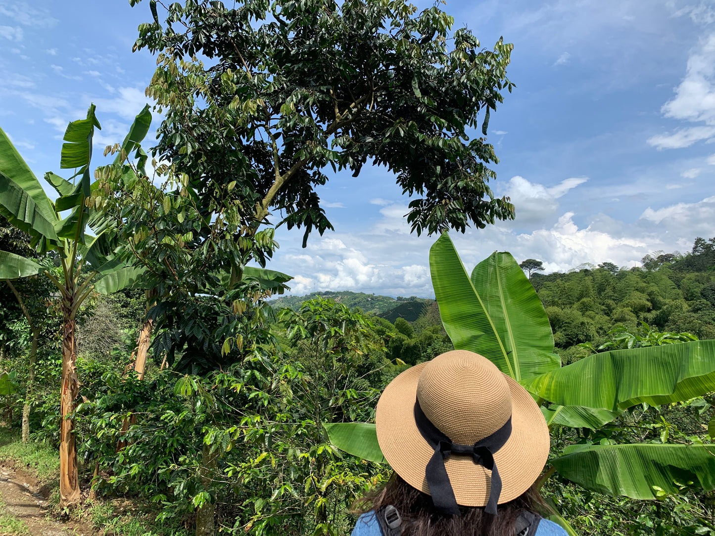 BAKr Coffee - Palestina, Caldas - Colombia