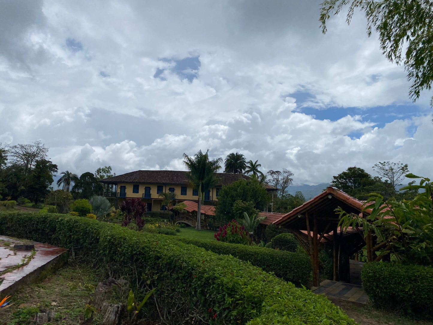 BAKr Coffee - Villa Loyola, Chachagui, Nariño - Colombia